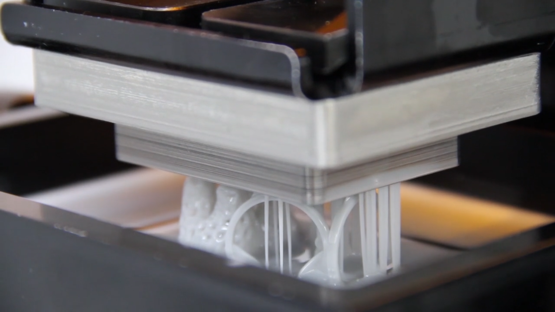cDLM 3D打印 cDLM 3D打印